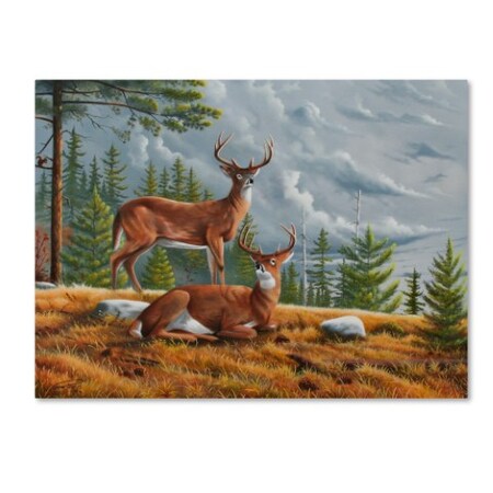 TRADEMARK FINE ART Geno Peoples 'Buck Country 1' Canvas Art, 18x24 ALI19521-C1824GG